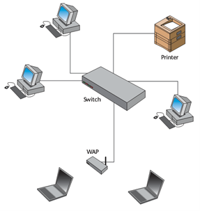 Diagram showing a typical LAN.